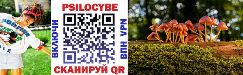 Псилоцибиновые грибы Psilocybine cubensis  где продают наркотики  Маркс 